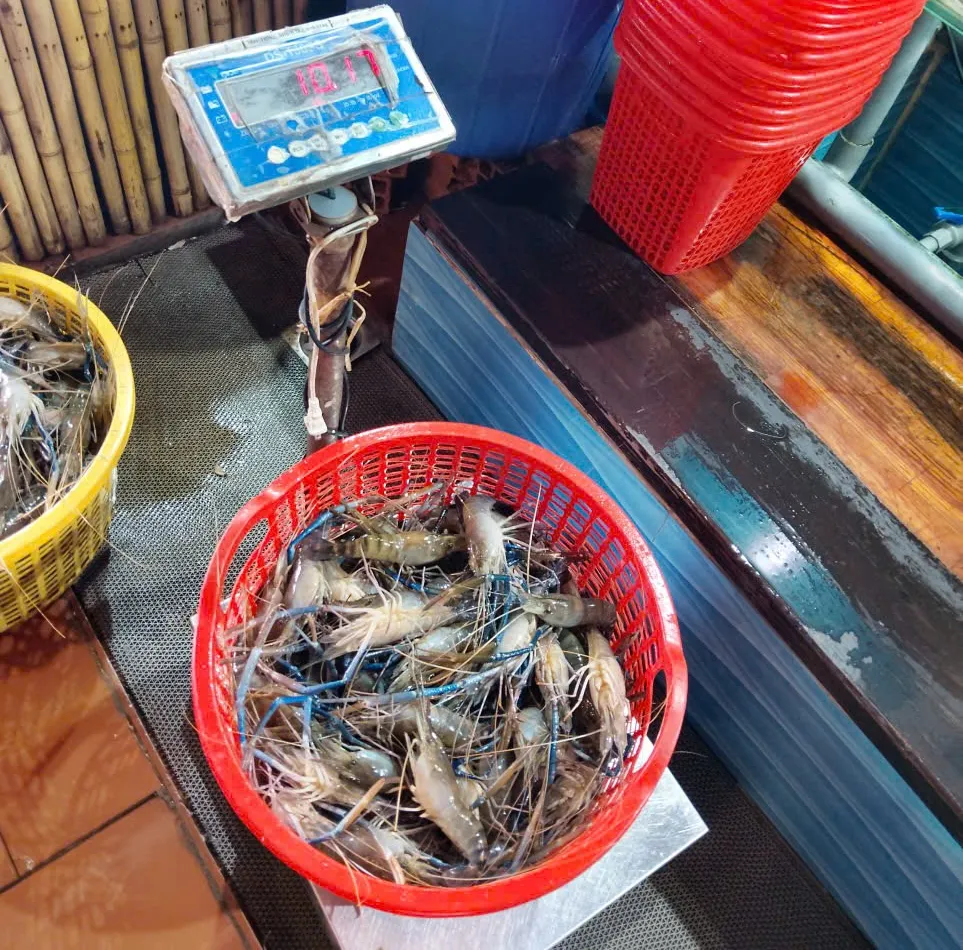 Lẩu tôm & tôm chế biến